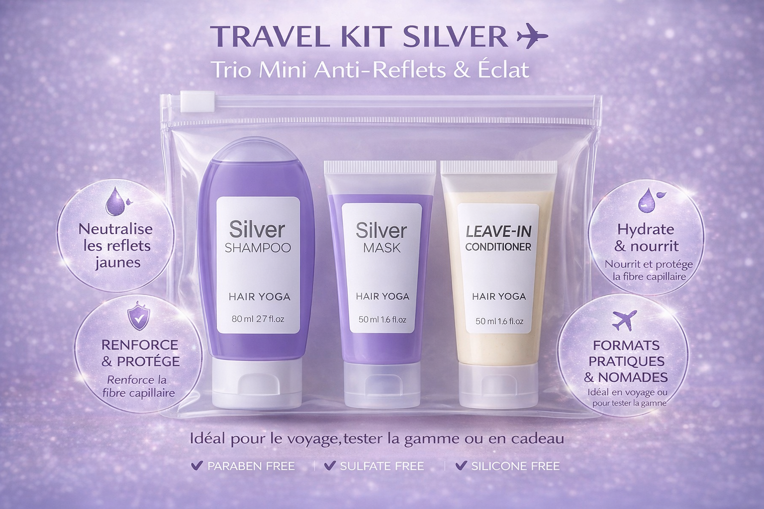 Travel Kit Silver shampooing 80ml + Masque 50ml + Leave In 50 ml